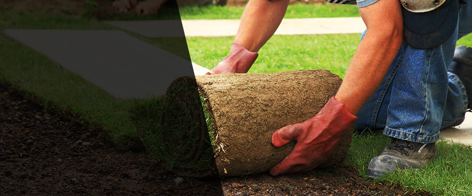 New Paltz Landscapers